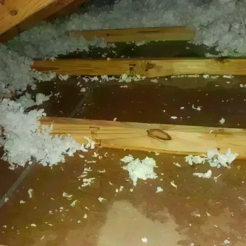 Attic Water Damage in Houghton, MI