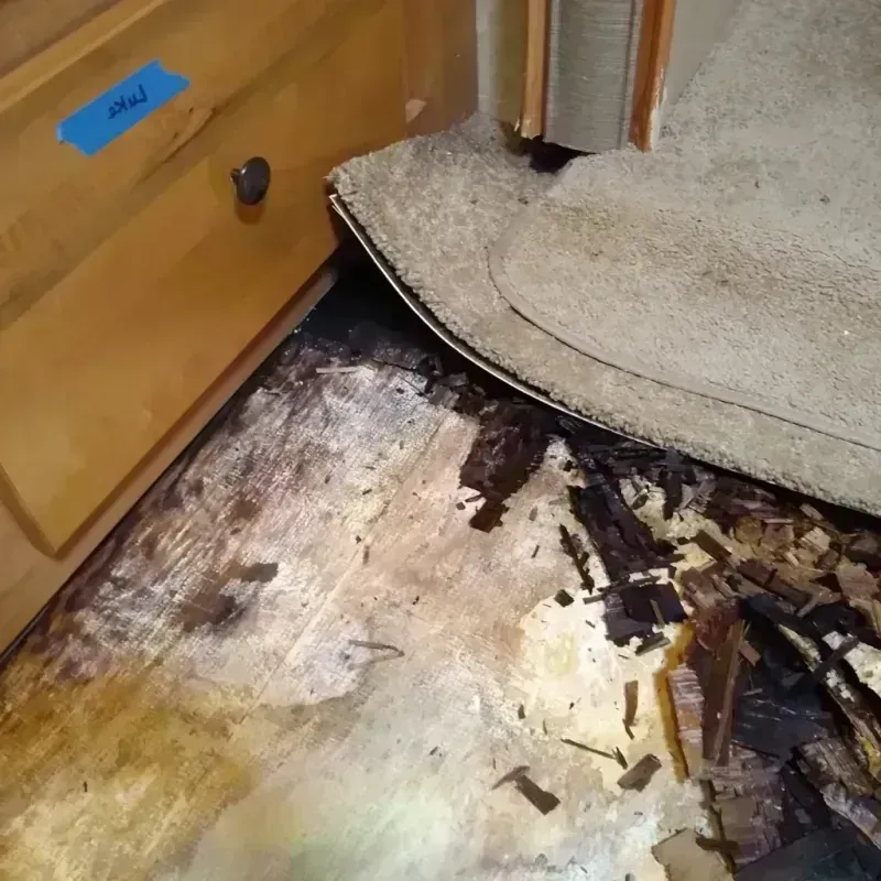 Wood Floor Water Damage in Houghton, MI